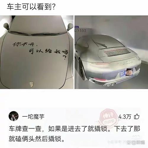 车钥匙逗猴被猴抢走,猴子车钥匙