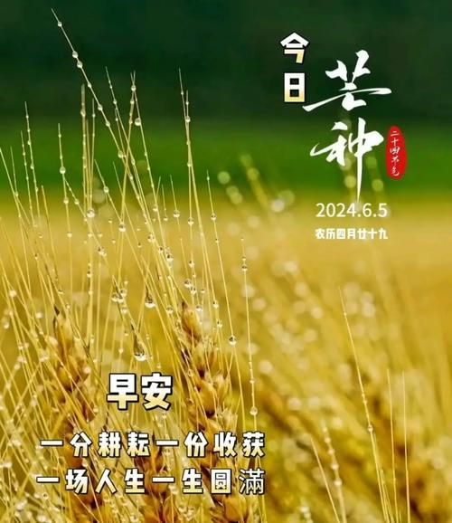 17时57分将迎来芒种,2017年芒种是几点