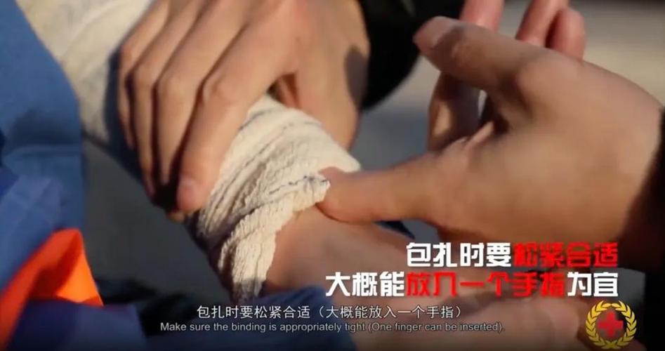 因好奇徒手抓蛇被咬,因好奇徒手抓蛇被咬了