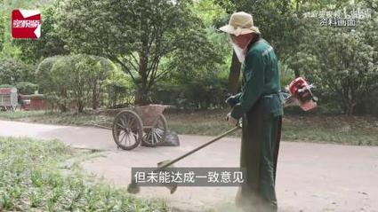 小孩被天降乌龟砸死,被天上掉下来的乌龟砸死的人